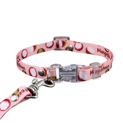 China DETACHED Dog Collar Leash Set Belt Cat Collar Small Pet Walking Nylon Rope With Collar for sale