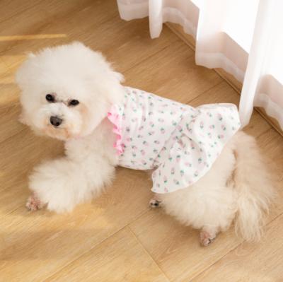 China Teddy Small Dog Clothes Strawberry Lace Stocked Princess Cat Skirt Puppy Girl Dog Dresses for sale