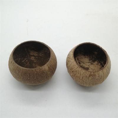 Cina Le ciotole della noce di cocco della foresta pluviale hanno messo la noce di cocco cruda Handcrafted Shell non lucidata in vendita