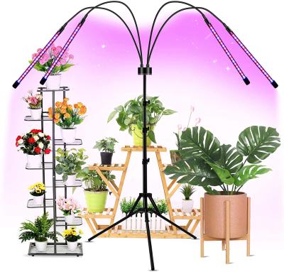 China Seed Starting Greenhouse LED Grow Light Indoor Adjustable Plant Light Steplesss Dimmable Plant Growth LED Light for sale