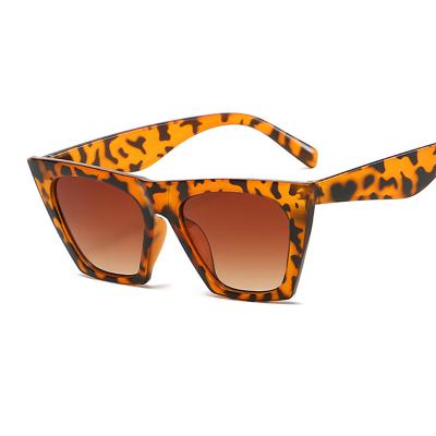 China New environmental friendly women's wide frame sunglasses fashion square personality leopard sunglasses wholesale for sale