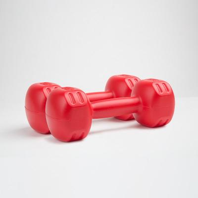 China Eco-Friendly Home Fitness Equipment Portable Dumbbell Beginner Dumbbell for sale