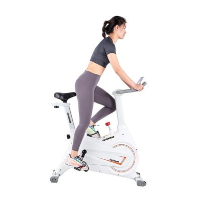 China Universal High Quality Inclusive Flywheel Magnetically Controlled Spinning Bike for sale