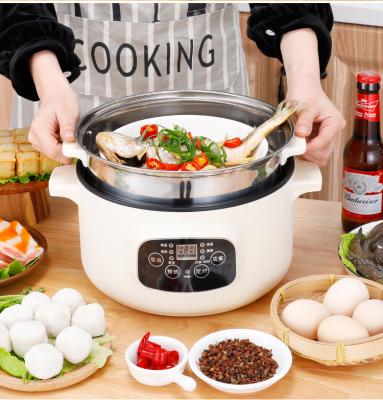 China Wholesale Price Single or Double Layers Mini Travel Cooking Hot Pot Multifunctional Cooker with Lid Electric Pan for sale