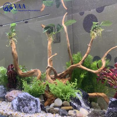 China ADA Black Viable Natural Soil Planted Aquarium Soil Substrate For Waterweed Aquatic Water Plants for sale