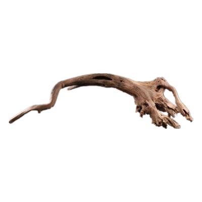 China Sustainable Rhododendron Root Driftwood Spider Wood Is Used For Aquarium Fish Tank Decoration Landscape Fish And Shrimp Arched Shelter Wood for sale