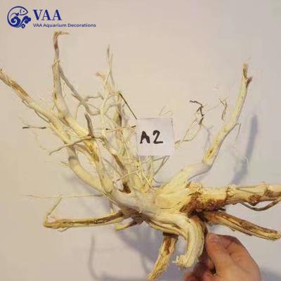 China Mangrove Tree 1kg Driftwood Driftwood Natural Wood Driftwood Aquarium Driftwood Sustainable Price Aquarium Driftwood for sale