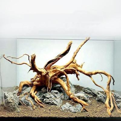 China Root Viable Malaysian Bonsai Driftwood Fish Tank Aquatic Driftwood Sticks Natural Branches Aquarium Diy Driftwood for sale