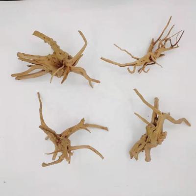 China Driftwood Thailand Branch Driftwood Planters Aquascape Viable Driftwood Aquarium Thin Wooden Trunk Driftwood for sale