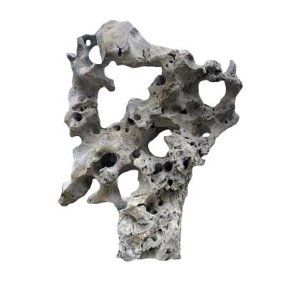 China Viable aquarium polyp reef ornament aquarium rocks natural dragon stone rock taihu lake lime rock for sale