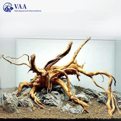 China Large Wooden Viable Hot Sale Driftwood Aquarium Driftwood Root Tree Driftwood Moss Tree Branches for sale