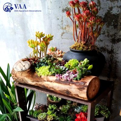 China Driftwood Stump Design Driftwood Planter Garden DIY Modern Natural Resin Planters Artificial Succulent Planters for sale