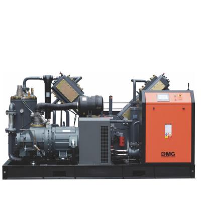 China Low Price China Supplier PET Oil Free Air Compressor For Sale Rotary Screw Turkey Russia Philippines Romania Canada Chile Australia for sale