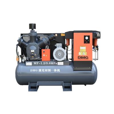 China Factory Direct Sales DMG WF 1.0 Oil Free 3.0CF Laser Cutting Inline Air Compressor for sale