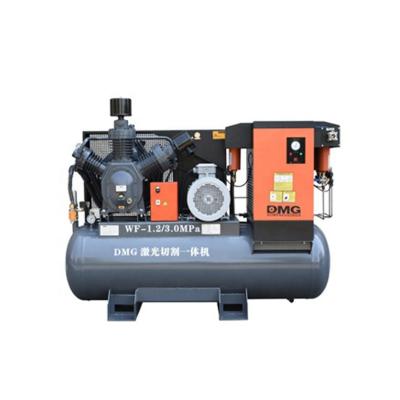 China Lubricated 1.2 m3/min 30 bar laser cutter combined with built-in air reservoir and medium pressure air dryer air compressor for sale