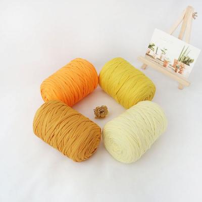 China Anti-pilling Hand Woven Bag T-shirt Yarn Modern Design Hand - Woven Outdoor Pet Yarn Use Blanket T-shirt Yarn for sale