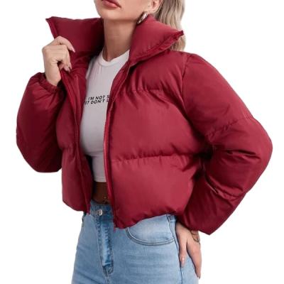 China New Arrival High Quality Women's Winter Warm Waterproof Custom Clothing Zipper Up Stripper Crop Jacket for sale