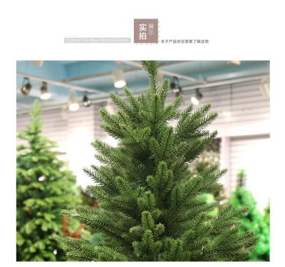 China Christmast Ornament 1.2-2.4m PE Christmas Tree Pine Needle Christmas Tree Decoration for sale