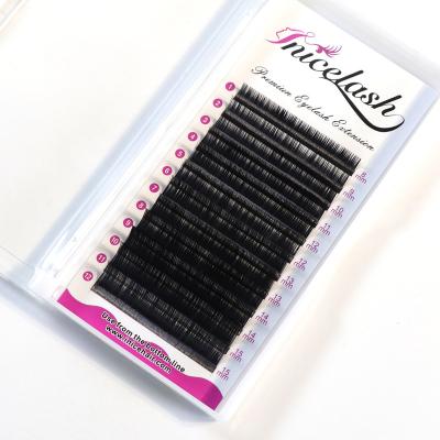 China Natural J Since C D L Private Label Synthetic Eyelash Extension Y Loop Individual Eyelash Extension for sale