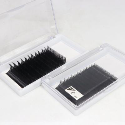 China D Loop Natural Silk Private Label Mink Supplier Individual Classic Eyelash Extension for sale