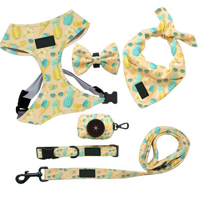 China High Quality Designer Padded Custom Sublimation 6 Piece Set With Bandana Collar Leash Bow Tie Poop Bag Dog Padded Harness Set for sale