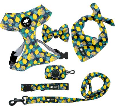 China New Sensitive Appearance Padded Popular Producer Dog Harness Leash Collar Poop Bag Holder Set Safe Durable Dog Harness Leash Set for sale