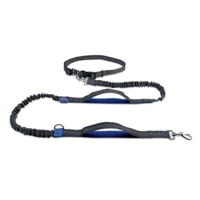 China Multi Function Stocked Running Retractable Professional Harness Sublimation Adjustable Rope Collar Walking Belt Hands Free Dog Leash for sale