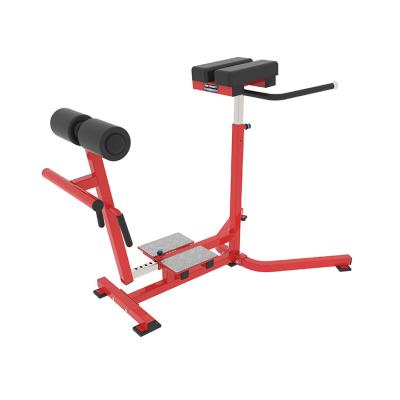 China New Gym Fashion Body Gym Exercise Commercial Fitness Equipment Adjustable Roman Chair Gym for sale