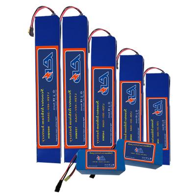 China Toys 24v 36v 20ah 48v Ion Lifepo 4 Battery Lithium For E Scooter Lithium Ion Batteries for sale