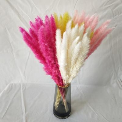 China Hot Selling Colorful Pampas Grass Wedding Decoration Amazon 45cm Short Natural Touch Pampas Grass Shorts for sale