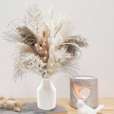 China Beautiful The Plant Supply Valentine's Day Flower Dried Pampas Grass Bouquet Colorful Gift Preserved Flower Home Decor for sale