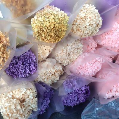 China Wholesale Natural Dry Touch Hydrangea Bouquet Anna Hydrangea Preserved Flowers Home Decoration for sale