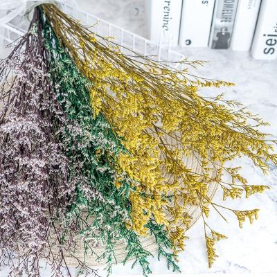 China High Quality Natural Touch Flower DIY Limonium Flower Lover Natural Dry Material Preserved Grass Home Decoration for sale