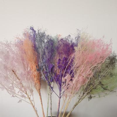 China Natural Touch Factory Wholesale New Products Dried Flowers Mist Lover Preserved Flower Vase Decoration for sale