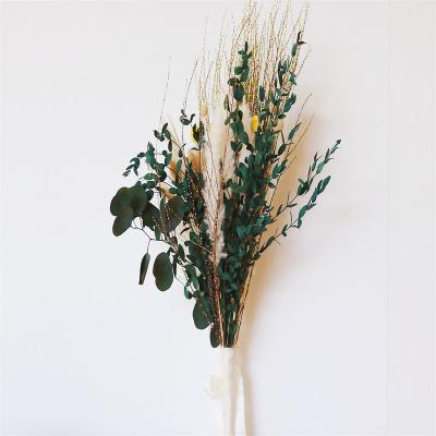 China Natural Touch Slulaoo Eucalyptus Billy Ball Pampas Gress Assorted Dried Flower Bouquet for sale