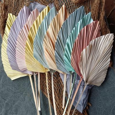 China Contact Wholesale Natural Dried Palm Leaves Bleached Palm Leaves Family Wedding Flower Decoration for sale