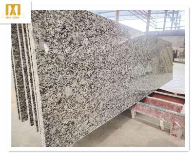 China Modern Cheap Price Flamed Polished G603 Grey White Granito 60x60 Granite For Floor Countertop for sale