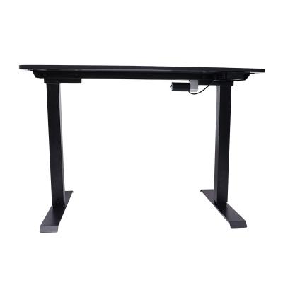 China Adjustable (Height) Powered Standing Desk Home Office Computer Electric Lift Table for sale