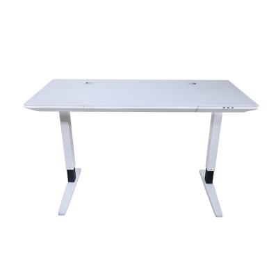 China Factory Made Smart Electric Height Adjustable Computer Desk Table (Height) With USB Ports for sale