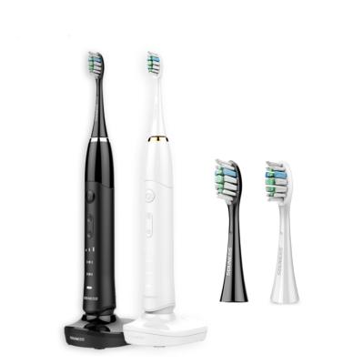 China Sonic Toothbrush Couple Toothbrush Electric USB Adult Unisex Electronic Washable Whitening Smart Charging Environmental Protection for sale