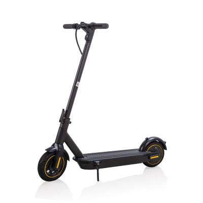 China 10 inch 36V 350W 10ah Chinese 36v unisex smart electric scooter with CE FCC ROHS OEM ODM EU and US warehouse for sale