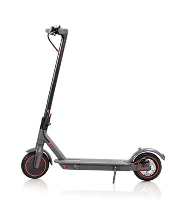 China Hot sale 350wt unisex scooter 8.5 inch 36V 350W electric scooter citycoco adults with CE FCC ROHS OEM ODM EU and US warehouse for sale