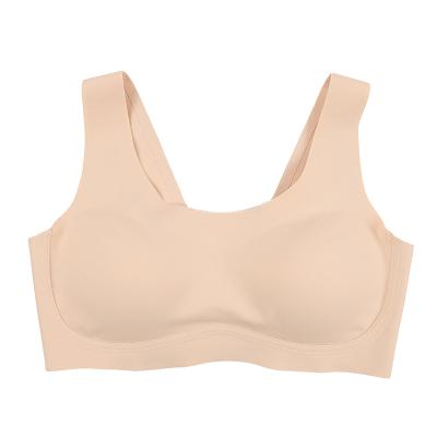 China High quality one piece women's one piece bra/women sexy underwear for sale