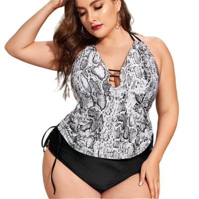 China High-Waisted Deep V-Neck One-Piece Plus Size Women's Plus Size Backless Print Beachwear Swimwear Bikini Set 8413391 for sale