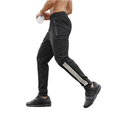 China 2977466 Breathable bottoms men's workout bodybuilding men's fitness pants gym training pants track pants men's track pants sweatpants for sale