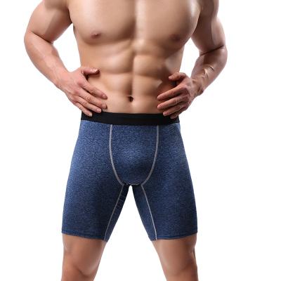 China Hot sale antibacterial lengthen mens boxer cuecas boxer cuecas long brief boxers mens sports underwear for sale