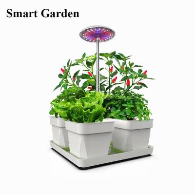 China BLOOM 2021 Newest Smart LED Indoor Grow Light Reading Lamp Lamp With Timer Dimmer 4 Planting Basket for sale