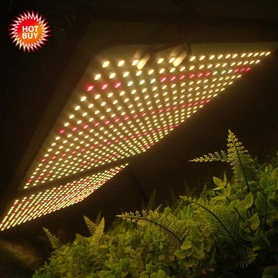 China BLOSSOM 2019 best sellers 240W pre-assembled Samsung 301b led grow light panel with driver good mean for herbal medicine for sale