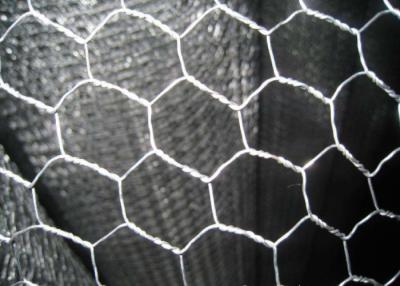 China Weave Poultry Netting 1.4mm Hexagon Metal Mesh for sale