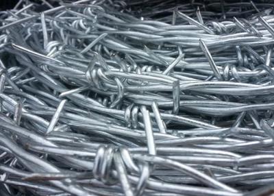 China Lawn SWG12# X 14# Hot Dipped Galvanized 50kg Barbed Wires for sale